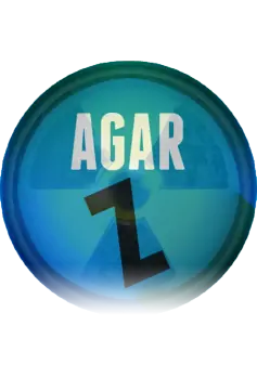 Agarz