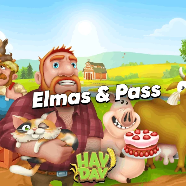 Hay Day Elmas